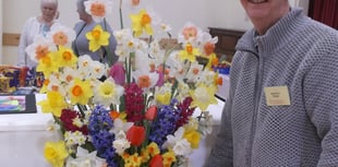 West Alvington Show: Steer wins big