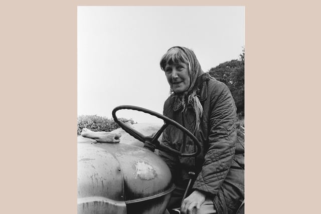 Jacqueline Sarsby launches her new book in Totnes