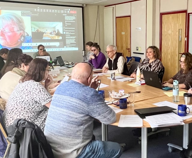 Devon Disability Voice recruits volunteers webinar