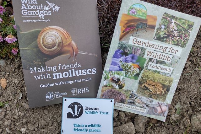 Wildlife gardening: Fiona van Es' checklist