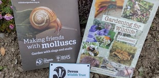 Wildlife gardening: Fiona van Es' checklist