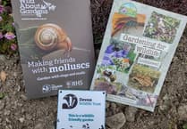 Fiona van Es shares her wildlife gardening checklist
