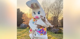 Four South Hams attractions to see baby animals this Easter