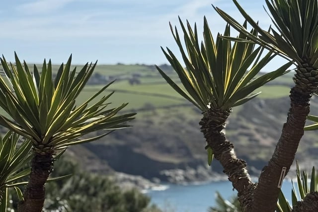 Explore Salcombe's Overbeck's Garden:  tours, walks and stunning views