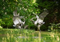 Visit Delamore arts exhibition at Cornwood