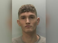 Ferocious attacker jailed for 11 years