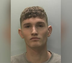 Ferocious attacker jailed for 11 years
