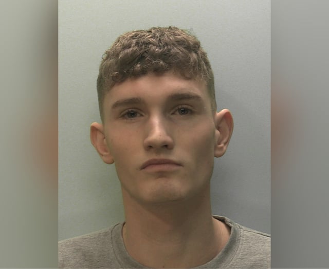Ferocious attacker jailed for 11 years