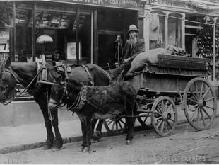Photographs from Kingsbridge Cookworthy Museum