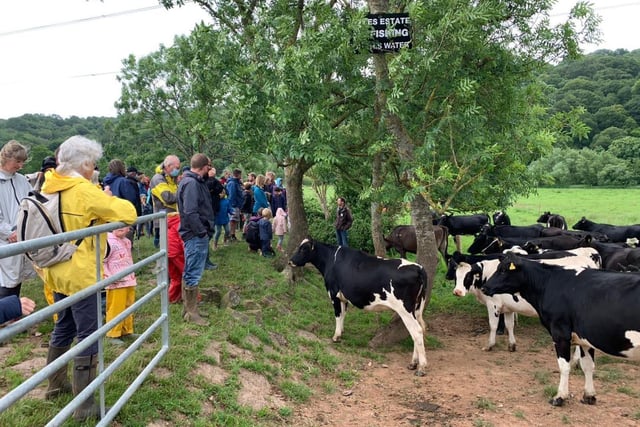 Local farms open the gates on Open Farm Sunday