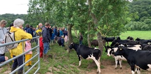 Local farms open the gates on Open Farm Sunday