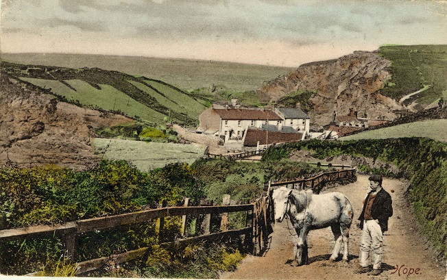 With horse in the country