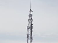 Countryside Alliance probes Freeview switch-off impact