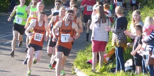 Harriers in record-breaking form