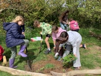 Blackawton School's Eco Earth Day