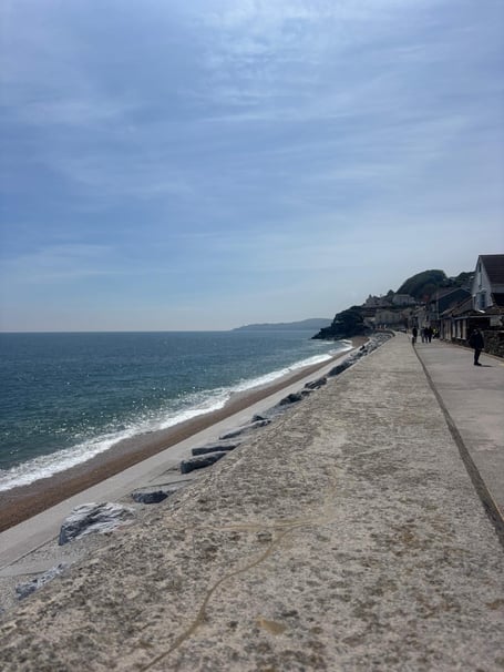 £19.8m has been allocated by the Environment Agency for sea defences at Torcross seafront.