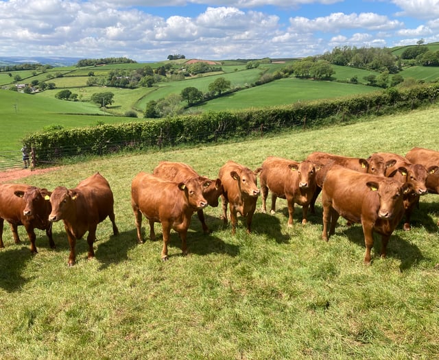 Historic farms looks to modern future
