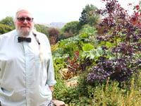 Devon Reform leader's shadow cabinet plan