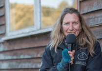 Help find Sarah Gaisford's stolen car and equipment