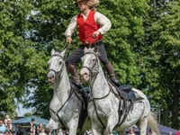 Yealmpton Show 2026: Wild West Extravaganza and more 