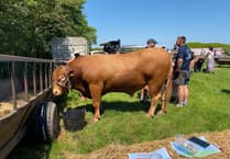 Record £10k raised at Prawle Fair