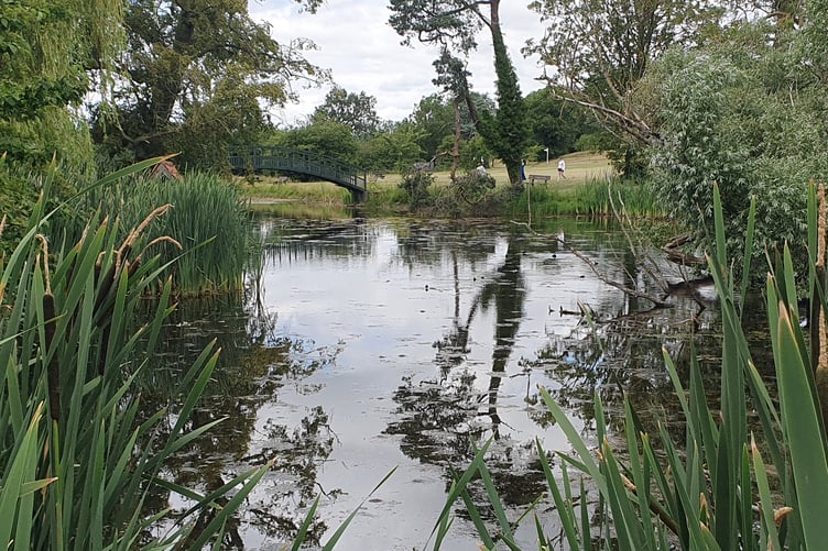 Doddington Fishpond - Alice Henderson