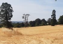 Half of England officially in drought as Devon faces more dry weather