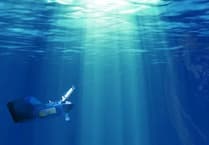 UK marine food webs under threat from warming seas