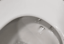 Check for silent toilet leaks to save thousands of litres of water