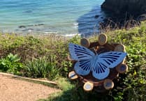 Discover South Devon's 'Small Wonders' Art Trail