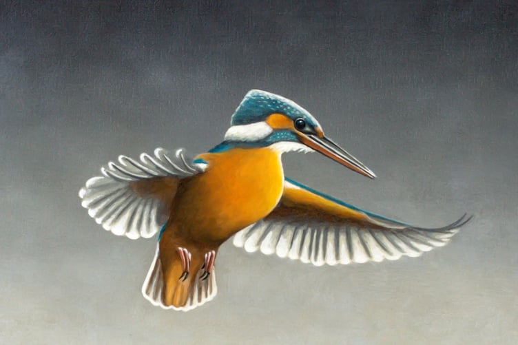 Wildlife artist John Ashton's Kingfisher.