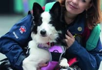 Dartmouth victim named locally as Rebecca Grass