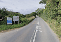 Single vehicle ended up in hedge after crash