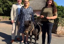 Patrick the Pony wins international animal heroes award