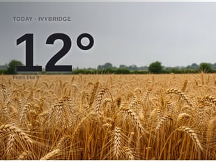 Rainy Wednesday for Ivybridge with a high of 13°C
