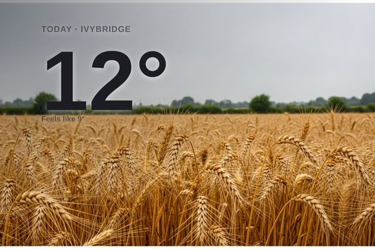 Ivybridge weather: rainy Wednesday with rain expected and a high of 13°C